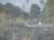 Victoria Falls