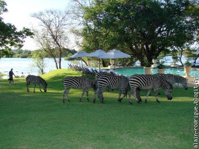 H&ocirc;tel sur Victoria Falls